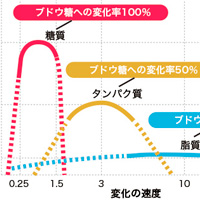 お菓子な話 第2回 ～糖質と血糖値の関係は！？～